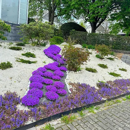 Hochwaldblick 4 Apartment Morbach